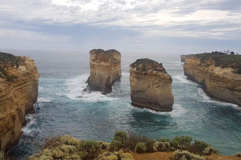 Private Express Experience - 12 Apostles - Accommodation Port Macquarie 5