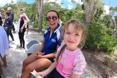 Whitehaven Beach Day Tour With Snorkel In Whitsundays Island - Accommodation Port Macquarie 1