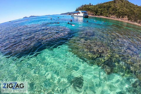 Whitehaven Beach Day Tour With Snorkel In Whitsundays Island - Accommodation Port Macquarie 5