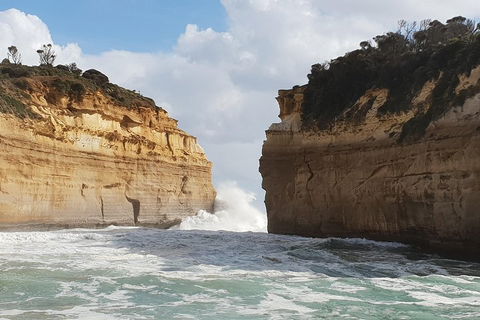 12 Apostles Tour From Warrnambool - Accommodation Port Macquarie 2