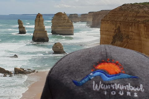 12 Apostles Tour From Warrnambool - Accommodation Port Macquarie 4