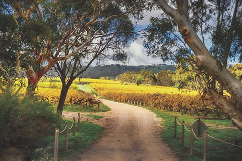 McLaren Vale Winery Small Group Tour With Wine Tasting And Lunch - Accommodation Port Macquarie 1