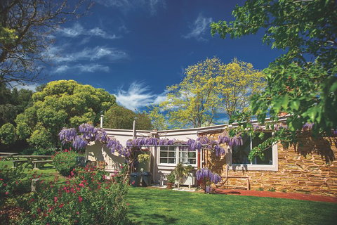 McLaren Vale Winery Small Group Tour With Wine Tasting And Lunch - Accommodation Port Macquarie 2