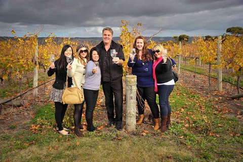 McLaren Vale Winery Small Group Tour With Wine Tasting And Lunch - Accommodation Port Macquarie 3