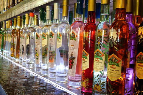 Bar & Brewery Tour - Accommodation Port Macquarie 4