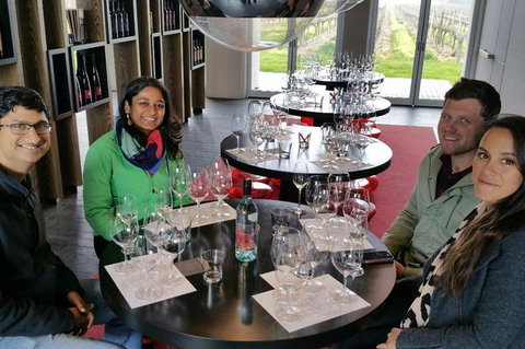 Luxury Private Mclaren Vale Wine Tour - Accommodation Port Macquarie 1