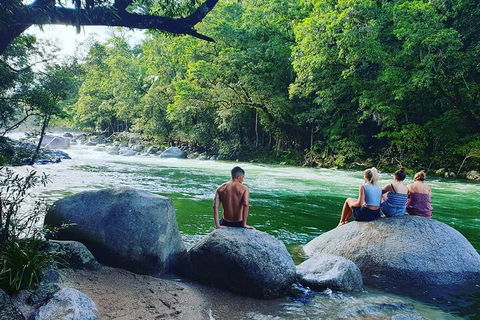 Afternoon Half-Day Daintree Rainforest And River Tour - Accommodation Port Macquarie 0