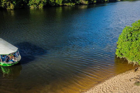 Afternoon Half-Day Daintree Rainforest And River Tour - Accommodation Port Macquarie 3