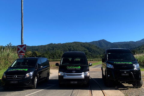 Afternoon Half-Day Daintree Rainforest And River Tour - Accommodation Port Macquarie 4