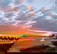 1 Hour Broome Sunset Camel Tour - Accommodation Port Macquarie