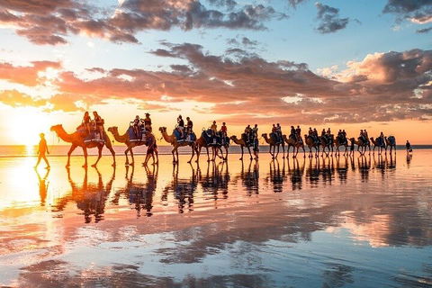 1 Hour Broome Sunset Camel Tour - Accommodation Port Macquarie 2