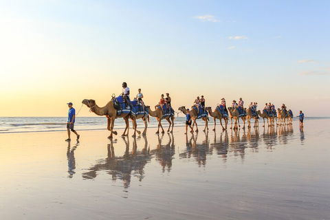 1 Hour Broome Sunset Camel Tour - Accommodation Port Macquarie 5