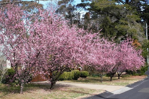 Blue Mountains - Accommodation Port Macquarie 1