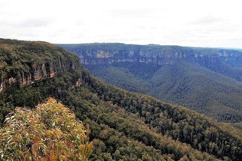 Blue Mountains - Accommodation Port Macquarie 3