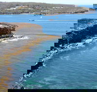Half day Manly Beach and more - Accommodation Port Macquarie