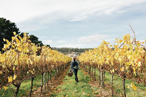 One-Way East Coaster - Accommodation Port Macquarie 1