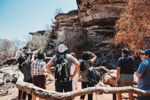 Kakadu Full-Day Tour From Darwin With Lunch - Accommodation Port Macquarie 1