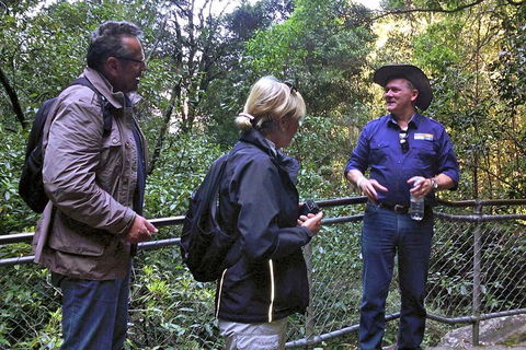 Private Blue Mountains Day Tour Including Wildlife Park - Accommodation Port Macquarie 3
