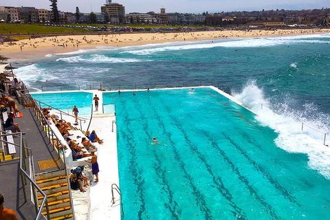 Private Sydney Half Day Tour Including Sydney Opera House And Bondi Beach - Accommodation Port Macquarie 1