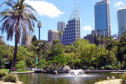 Private Sydney Half Day Tour Including Sydney Opera House And Bondi Beach - Accommodation Port Macquarie 4