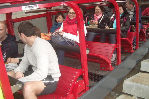 Full-Day Private Blue Mountains Tour With River Cruise - Accommodation Port Macquarie 0