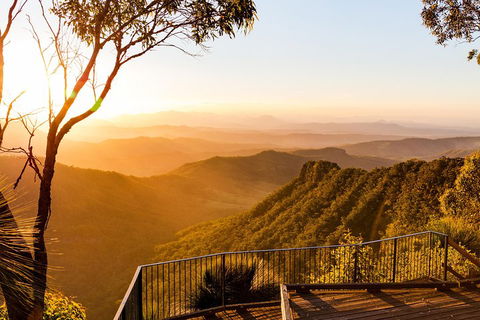 O'Reilly's & Lamington National Park Incl. Alpaca Farm + Vineyard - Accommodation Port Macquarie 0