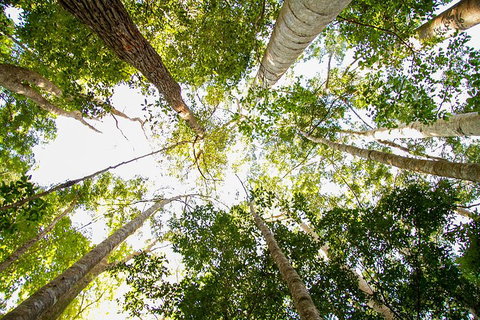 Fraser Island 4WD Tour From Noosa - Accommodation Port Macquarie 0