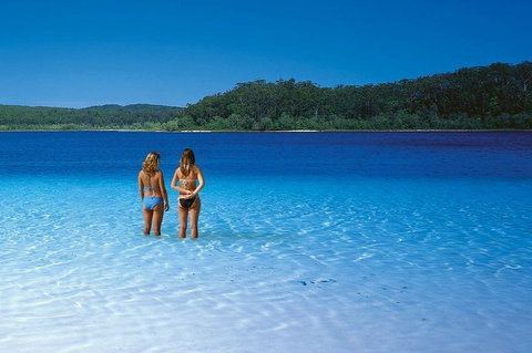 Fraser Island 4WD Tour From Noosa - Accommodation Port Macquarie 2