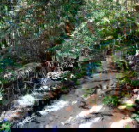 Fraser Island 4WD Tour from Rainbow Beach - Accommodation Port Macquarie