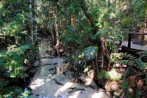 Fraser Island 4WD Tour From Rainbow Beach - Accommodation Port Macquarie 0
