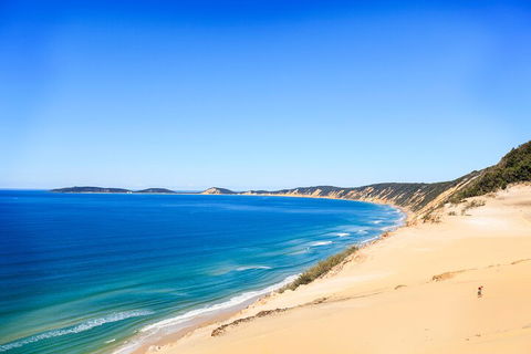 Kayak With Dolphins And 4WD Great Beach Drive Day Trip From Noosa - Accommodation Port Macquarie 0