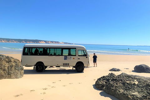 Kayak With Dolphins And 4WD Great Beach Drive Day Trip From Noosa - Accommodation Port Macquarie 4