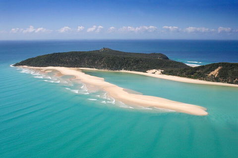 Kayak With Dolphins And 4WD Great Beach Drive Day Trip From Noosa - Accommodation Port Macquarie 5