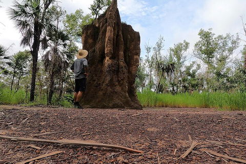 ETHICAL ADVENTURES - Litchfield Region, Max 10 Guests - Accommodation Port Macquarie 3