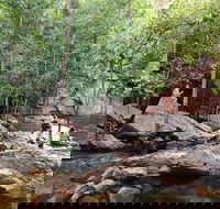 Ethical Adventures - Best in the WET - Litchfield / Kakadu 3 Day- max 10 guests - Accommodation Port Macquarie