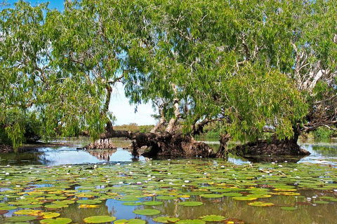 Ethical Adventures - Best In The WET - Litchfield / Kakadu 3 Day- Max 10 Guests - Accommodation Port Macquarie 1