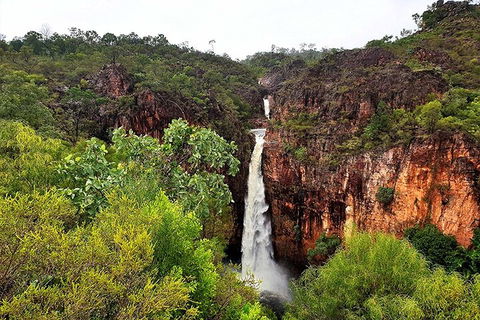 Ethical Adventures - Best In The WET - Litchfield / Kakadu 3 Day- Max 10 Guests - Accommodation Port Macquarie 2