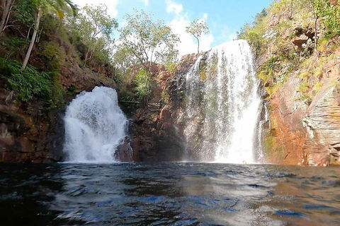 Ethical Adventures - Best In The WET - Litchfield / Kakadu 3 Day- Max 10 Guests - Accommodation Port Macquarie 5
