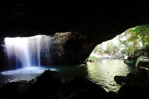 Rainforest & Waterfalls Extravaganza - Accommodation Port Macquarie 0