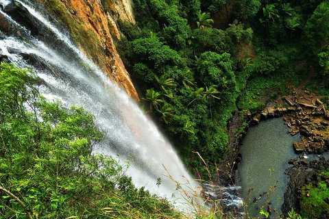 Rainforest & Waterfalls Extravaganza - Accommodation Port Macquarie 1
