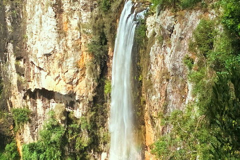 Rainforest & Waterfalls Extravaganza - Accommodation Port Macquarie 3