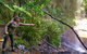 Rainforest & Waterfalls Extravaganza - thumb 4