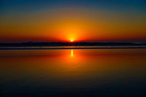 Glow Worms Private Tour - Nocturnal Rainforest Walk - Accommodation Port Macquarie 3