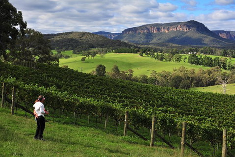 Private Blue Mountains And Winery Day-Trip From Sydney - Accommodation Port Macquarie 2