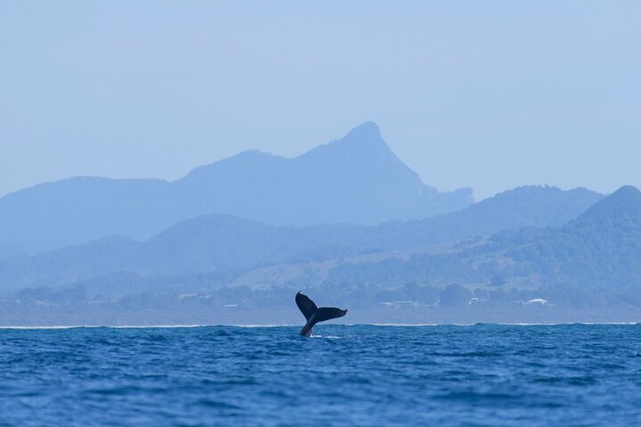 Byron Bay NSW Accommodation Port Macquarie