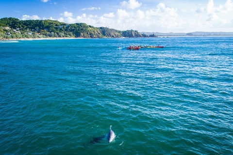 The Byron Bay Sea Kayak Tour - Accommodation Port Macquarie 2