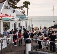 Phillip Island and French Island Wildlife Expedition - Accommodation Port Macquarie