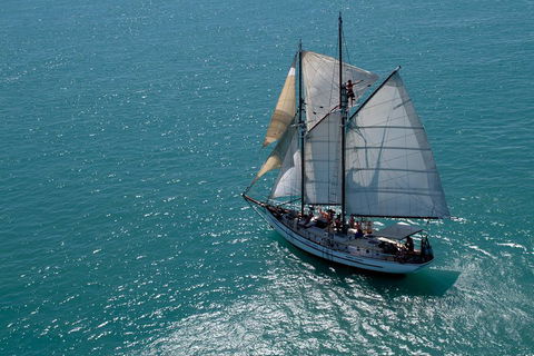 Whitehaven Beach Sailing And Snorkeling Cruise - Accommodation Port Macquarie 1