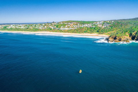 Noosa Oceanrider Scenic Dolphin Safari - Accommodation Port Macquarie 4