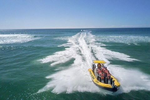 Noosa Oceanrider - Adventure Tour - Accommodation Port Macquarie 2